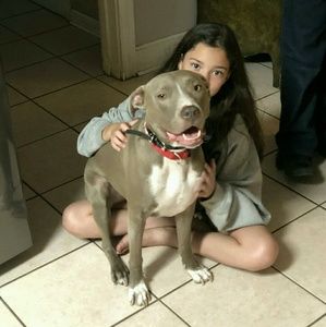 Meet your Posher, Ava